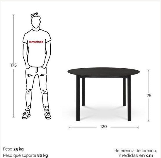 5650521 - Mesa P/4 Negra Pad